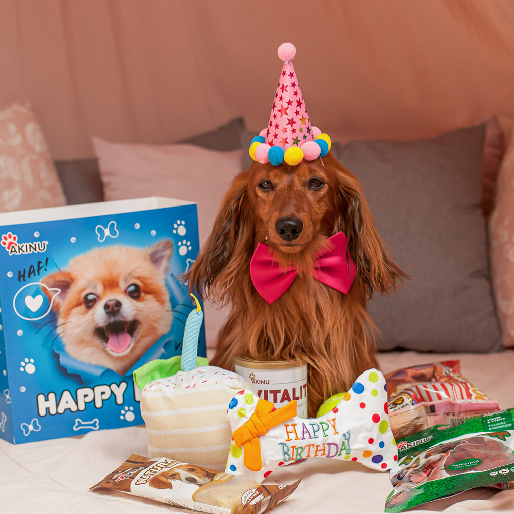 Akinu Happy box pro psa Obrázek