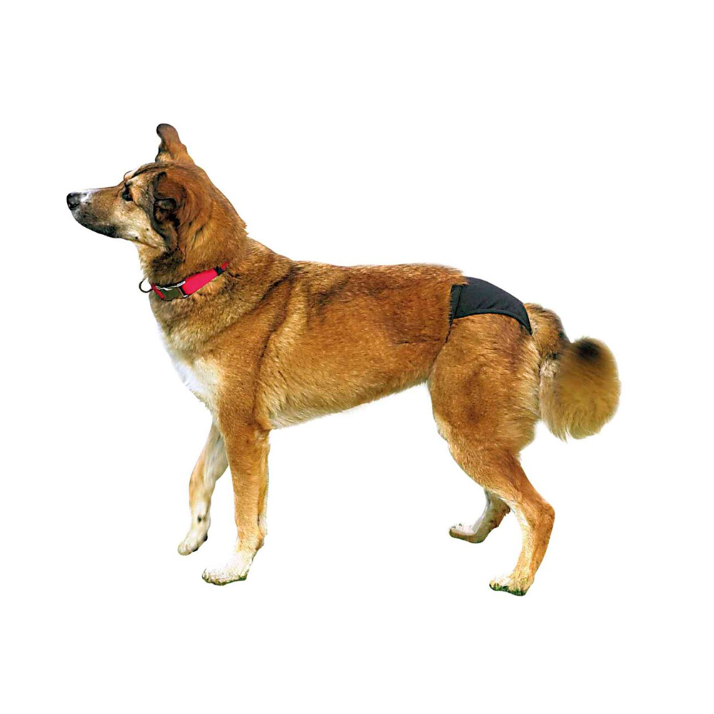 Hárací kalhotky černé de Luxe vel.XS Trixie 1ks Obrázek