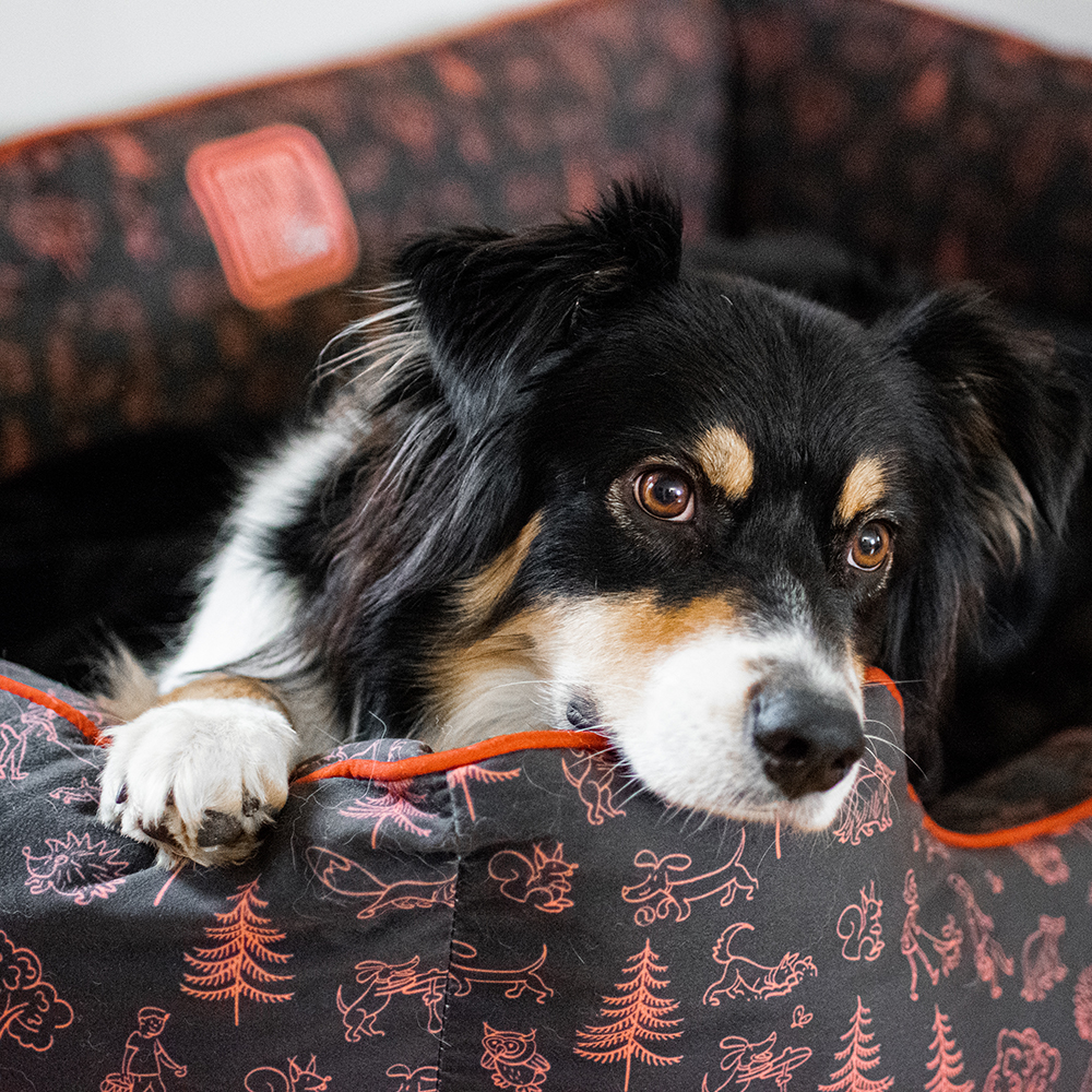 Akinu ČESKÝ LES pelech XL 110x80 cm Barva: Zelená Obrázek