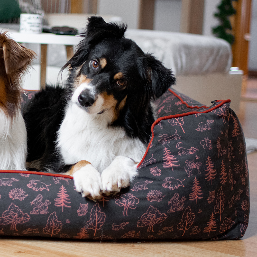 Akinu ČESKÝ LES pelech XL 110x80 cm Barva: Zelená Obrázek