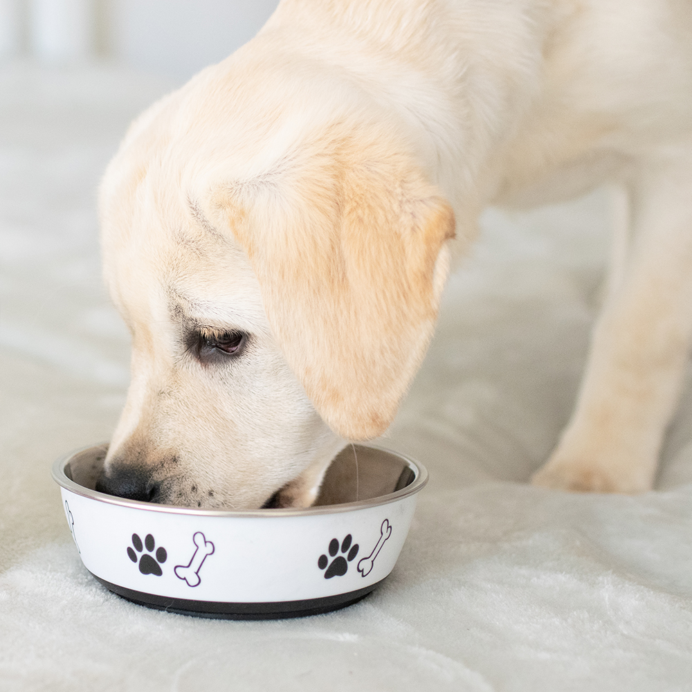 Akinu miska nerez/plast s protiskluzem 450 ml Barva: Bílá Obrázek