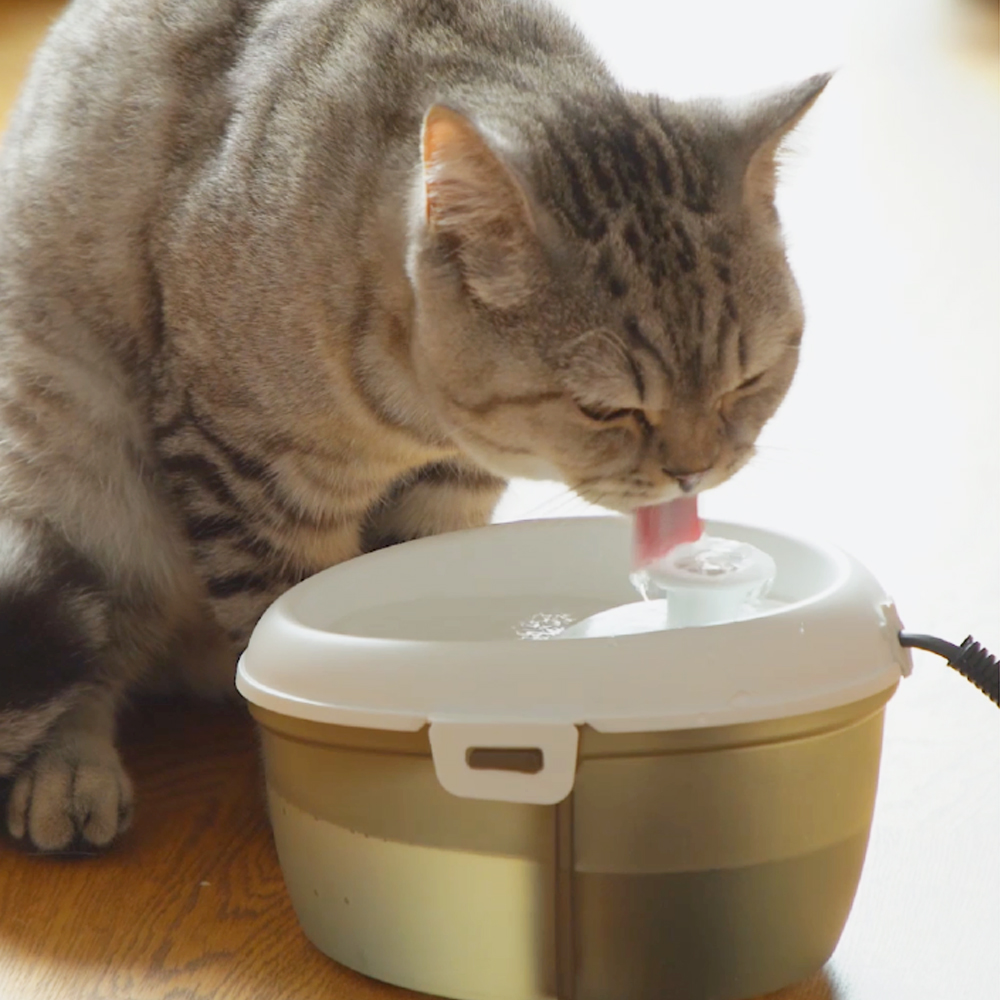 Akinu Cat H2O MINI fontána pro kočky a malé psy 1,2 l černá Obrázek