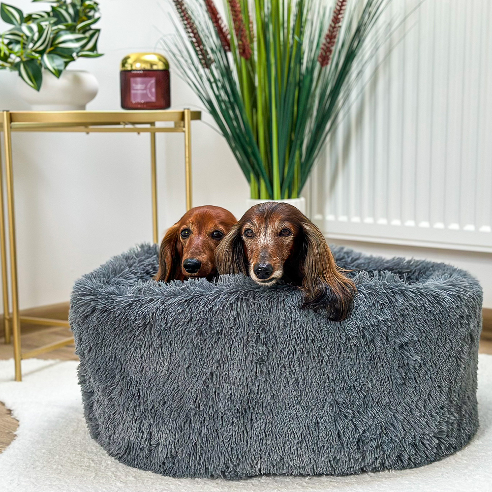 HUGS by Akinu Pelech Tereza pro psy šedý 60 cm