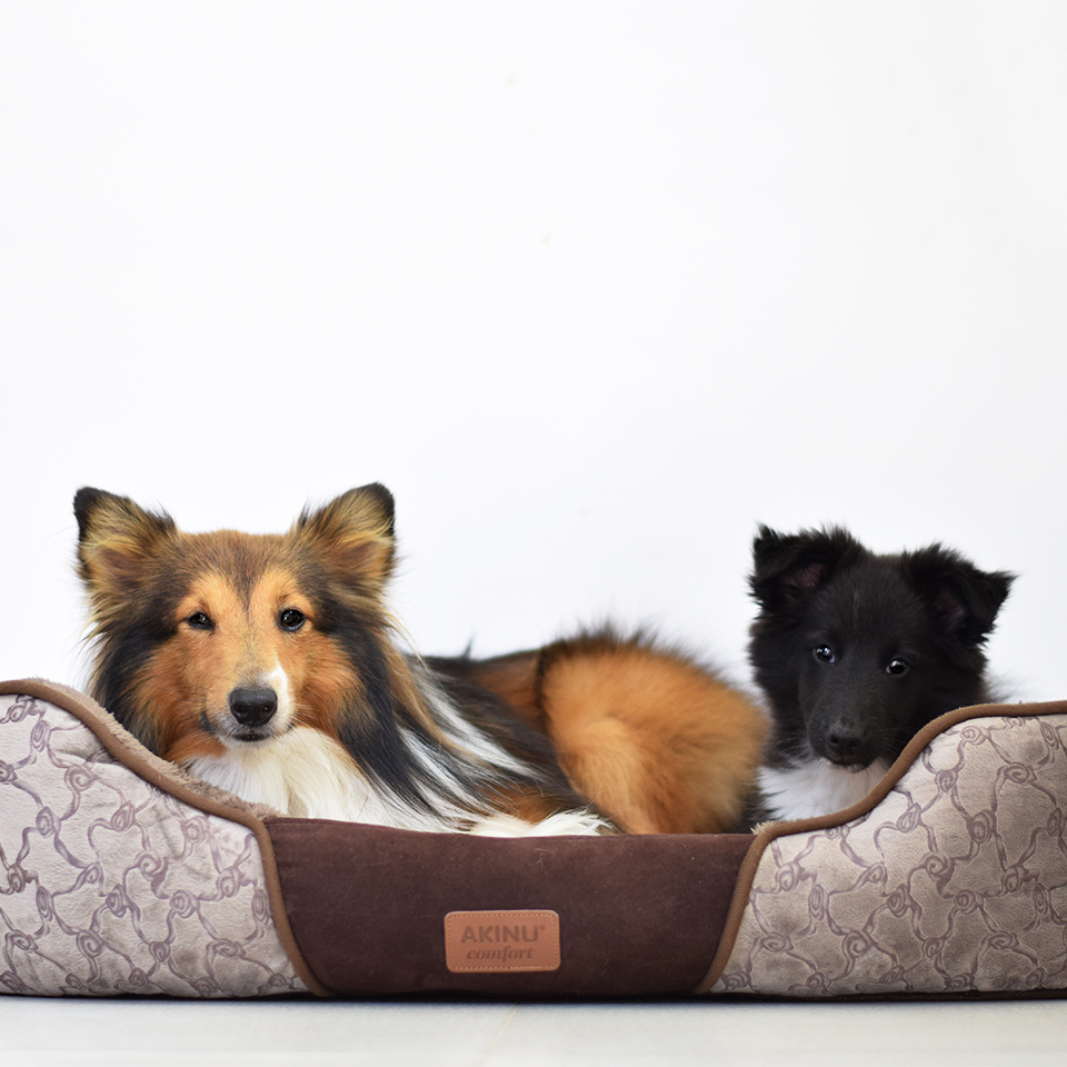 Akinu AK Pelech BRONZ 4hran. M-75x58x19 Obrázek