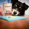 Akinu VITALITY Rybí kapsička pro psy na cesty 300 g