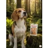 Suprimo kuřecí měkké kostky — lifestyle Beagle, mechový les