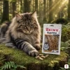 Lifestyle scéna 3 — Maine Coon, mechový les, lovecká elegance — varianta 1/2.