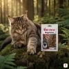 Lifestyle scéna 3 — Maine Coon, mechový les, lovecká elegance — varianta 2/2.