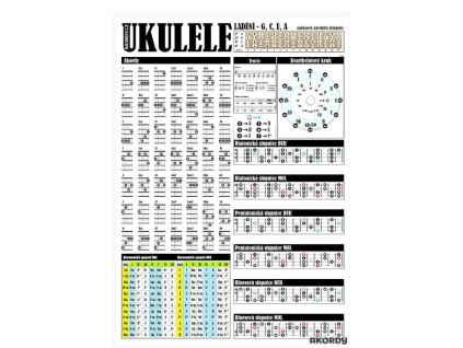plakat ukulele