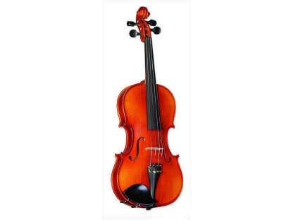 viola