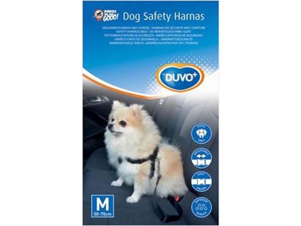 f06af9f41a088a6cb56cdb800ce52f21