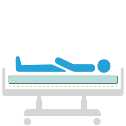 Ikona 1