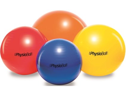 5551 2 physioball standard ledragomma 1