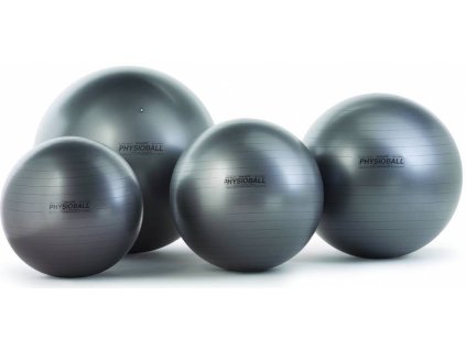 7393 2 physioball maxafe 105 cm