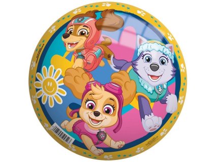 12638 mic detsky paw patrol 23 cm john