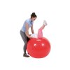 10219 2 gymnic therasensory 100 mic s vystupky