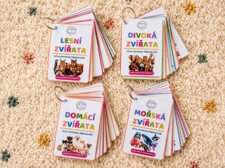 ✨ Naše oblíbené komunikační kartičky dostaly nový kabátek! ✨ Některé produkty už u nás znáte – a právě ty se snažíme pořád...