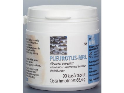pleurotus hlíva ústřičná 01
