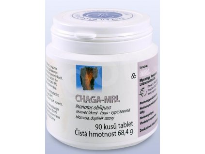 chaga inonotus 01