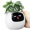 pol pm Plantsio Biala Inteligentna doniczka oslonka IVY 6323 3