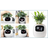 652 3 plantsio inteligentny kvetinac ivy biely