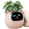 pol pm Plantsio Rozowa Inteligentna doniczka oslonka IVY 6326 3