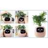 658 3 plantsio inteligentny kvetinac ivy ruzovy