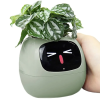 pol pm Plantsio Zielona Inteligentna doniczka oslonka IVY 6324 3