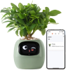 pol pm Plantsio Zielona Inteligentna doniczka oslonka IVY 6324 1