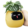 pol pm Plantsio Zolta Inteligentna doniczka oslonka IVY 6325 2