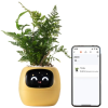 pol pm Plantsio Zolta Inteligentna doniczka oslonka IVY 6325 1