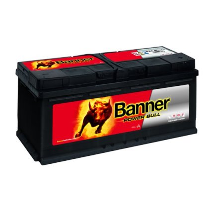 BANNER Power Bull P10040 12V 100Ah
