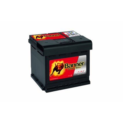 BANNER Power Bull P5003  12V 50Ah