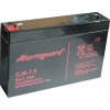 AlarmGuard CJ6-7,5 (6V /6Ah) batéria pre EZS, EPS
