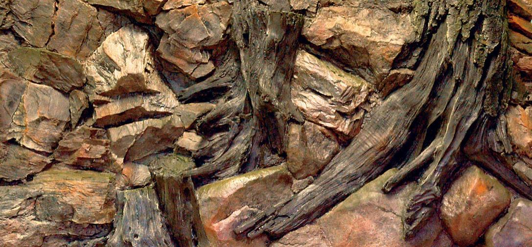 Akvarijní pozadí ROOT 120x60cm