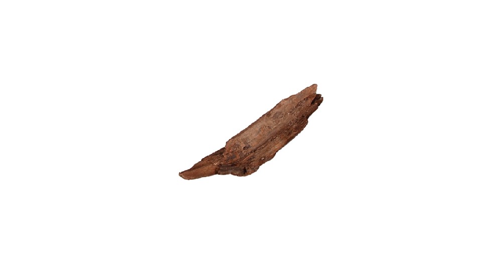 Kořen desert driftwood XS 15-20 cm