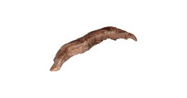 Kořen desert driftwood S 20-25 cm