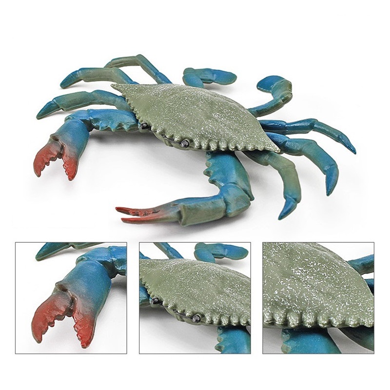 Krab modrý - umělá dekorace