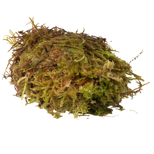 HabiStat Sphagnum Moss Varianta: 12kg