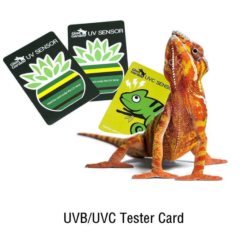 UVB Reptile Tester - testovací karta (1ks)