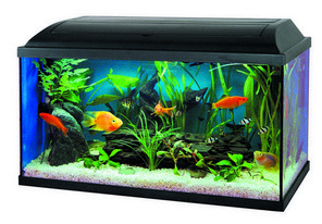 Akvárium set CAT-GATO PACIFIC LED 60x30x30 cm Varianta: žárovka 15W/E27