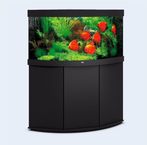 JUWEL akvarijní set Trigon 350 LED (350l) Varianta: černá