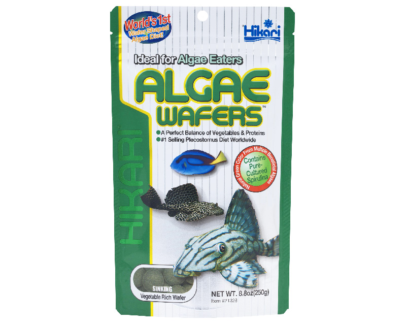 HIKARI TROPICAL ALGAE WAFERS 250G