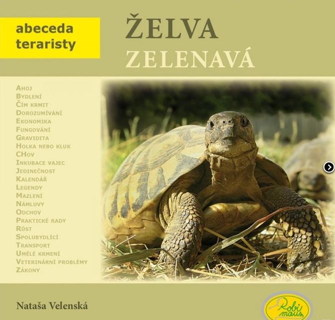 Želva zelenavá - Robimaus