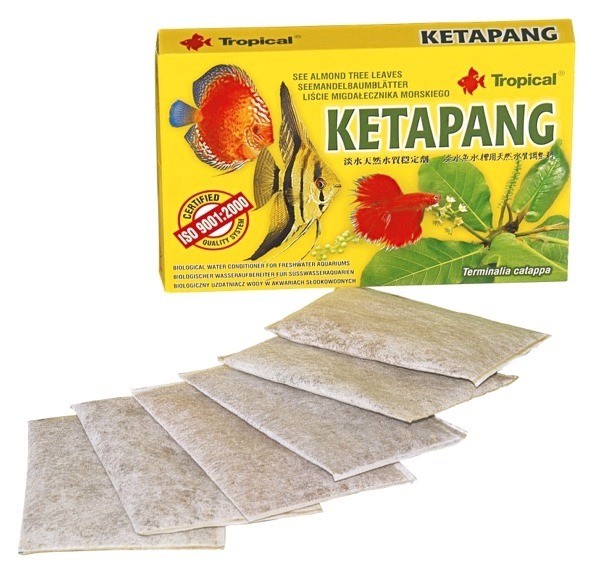 Tropical Ketapang 6 sáčků/5g