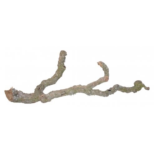 Lucky Reptile Tronchos – Korková větev 30-40 cm (cena za kus)