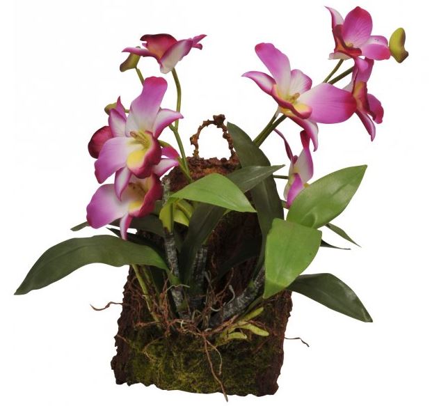 Lucky Reptile Orchidej 20x30 cm