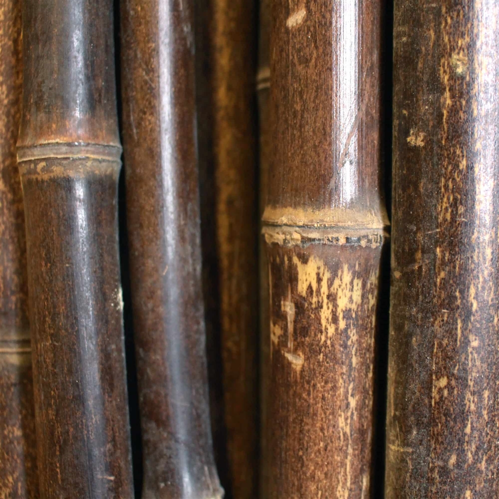 Bambus tmavý 100 cm, pr. 3-4 cm