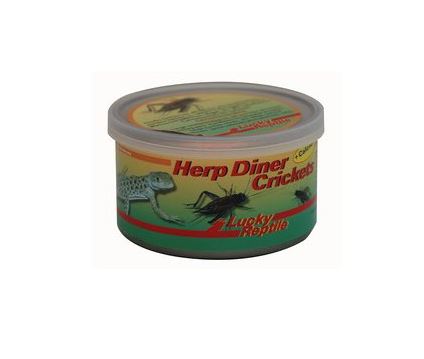 Lucky Reptile Herp Diner cvrčci 35g - velcí