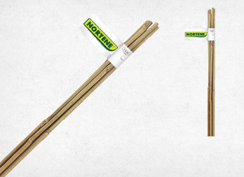 Bambusová tyč 150 cm, pr. 10-12 mm (2ks)